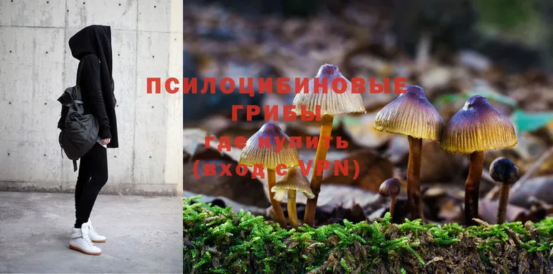 Псилоцибиновые грибы MAGIC MUSHROOMS  Касимов 